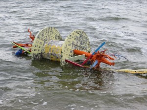IMG_1509