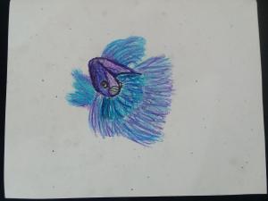 art camp 2021