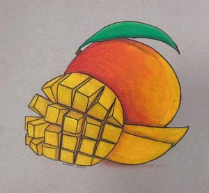 Madison Kitsch: Webster, ND. Mango, Craypas 11 x 14