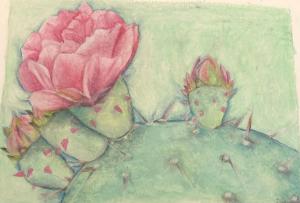 Candace Schlosser: Rugby, ND. craypas 16 x 20