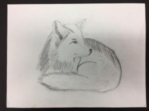 Chris S: pencil, grade 8