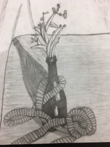 Ethan W: pencil, grade 7