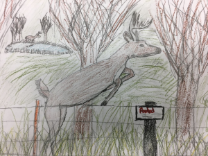 colored pencil, grade 7