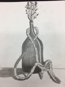 MaRiley S: pencil, grade 7, Dakota Prairie School